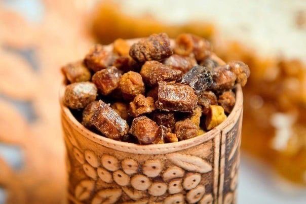 Propoliss – spēcīgākā antibiotika uz planētas